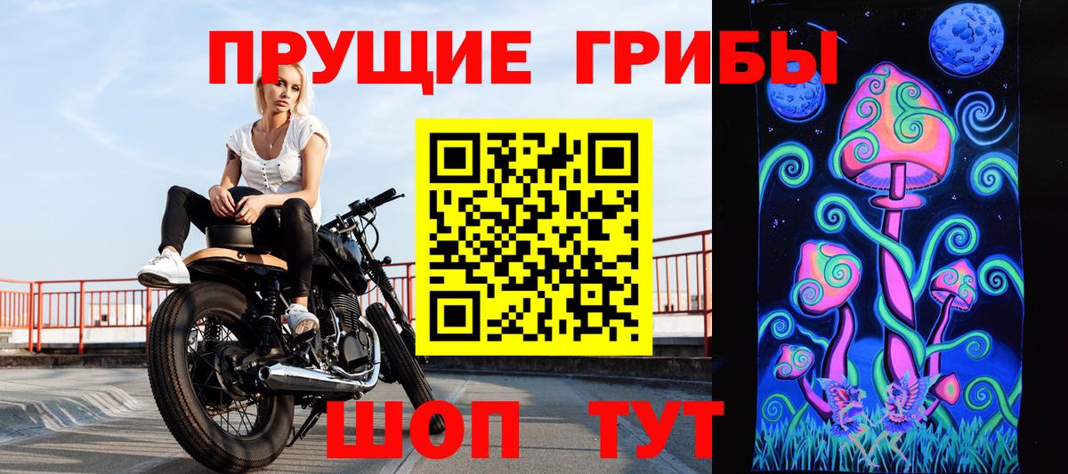 Псилоцибиновые грибы прущие грибы  Вход с VPN  Гудермес 