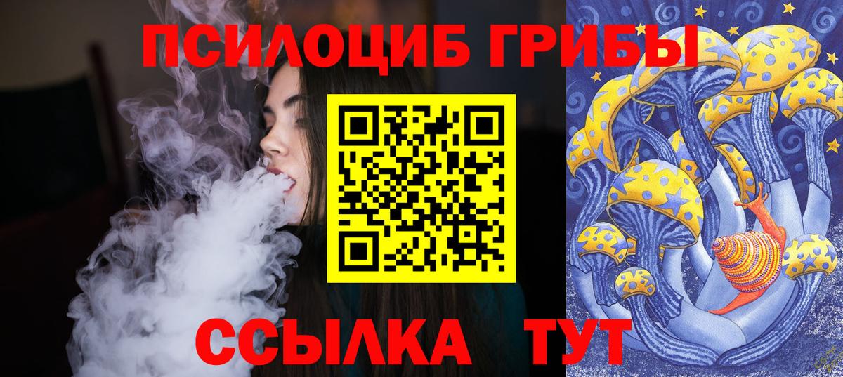 Псилоцибиновые грибы Psilocybine cubensis Гудермес
